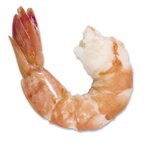 ZAFFERANO Ristorante Catering